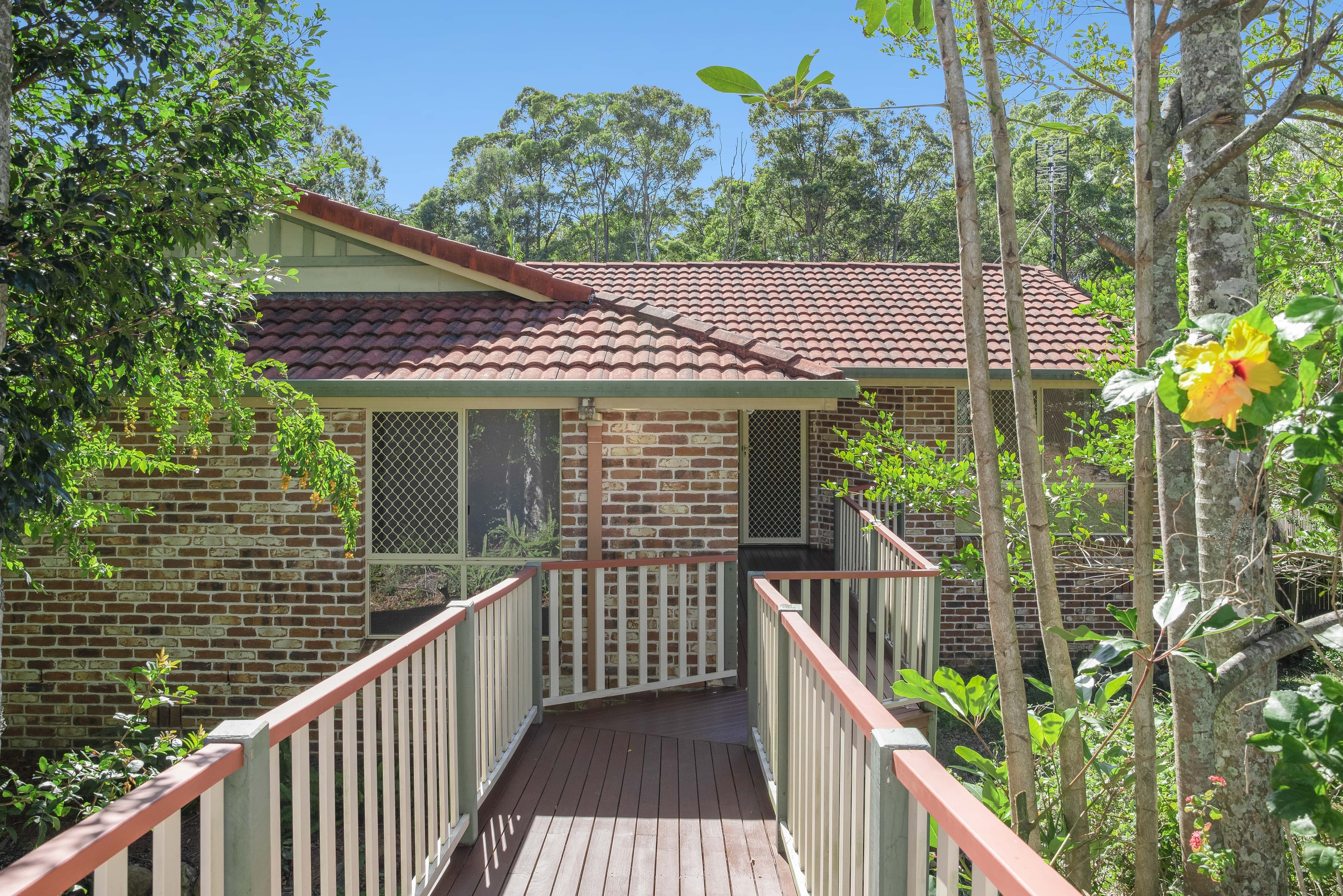 43 Karawatha Street, Buderim QLD 4556, Buderim - Thumbnail 5