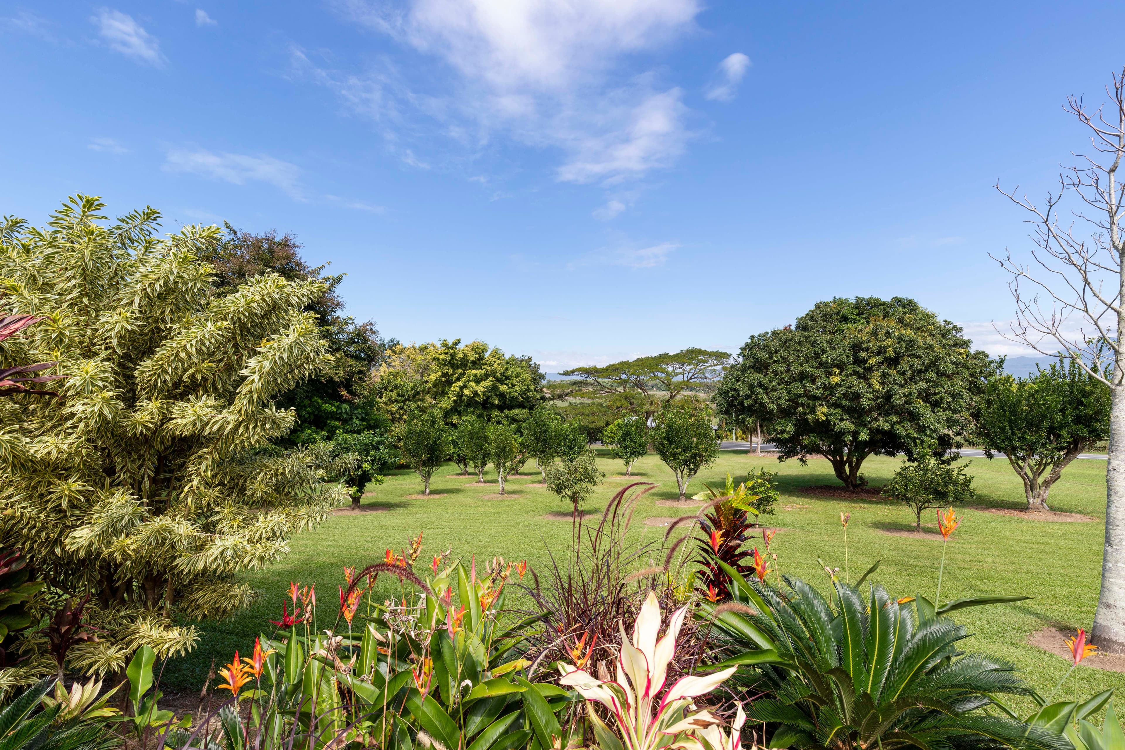 11 Orchid Avenue, Rocky Point QLD 4873, Rocky Point - Thumbnail 4