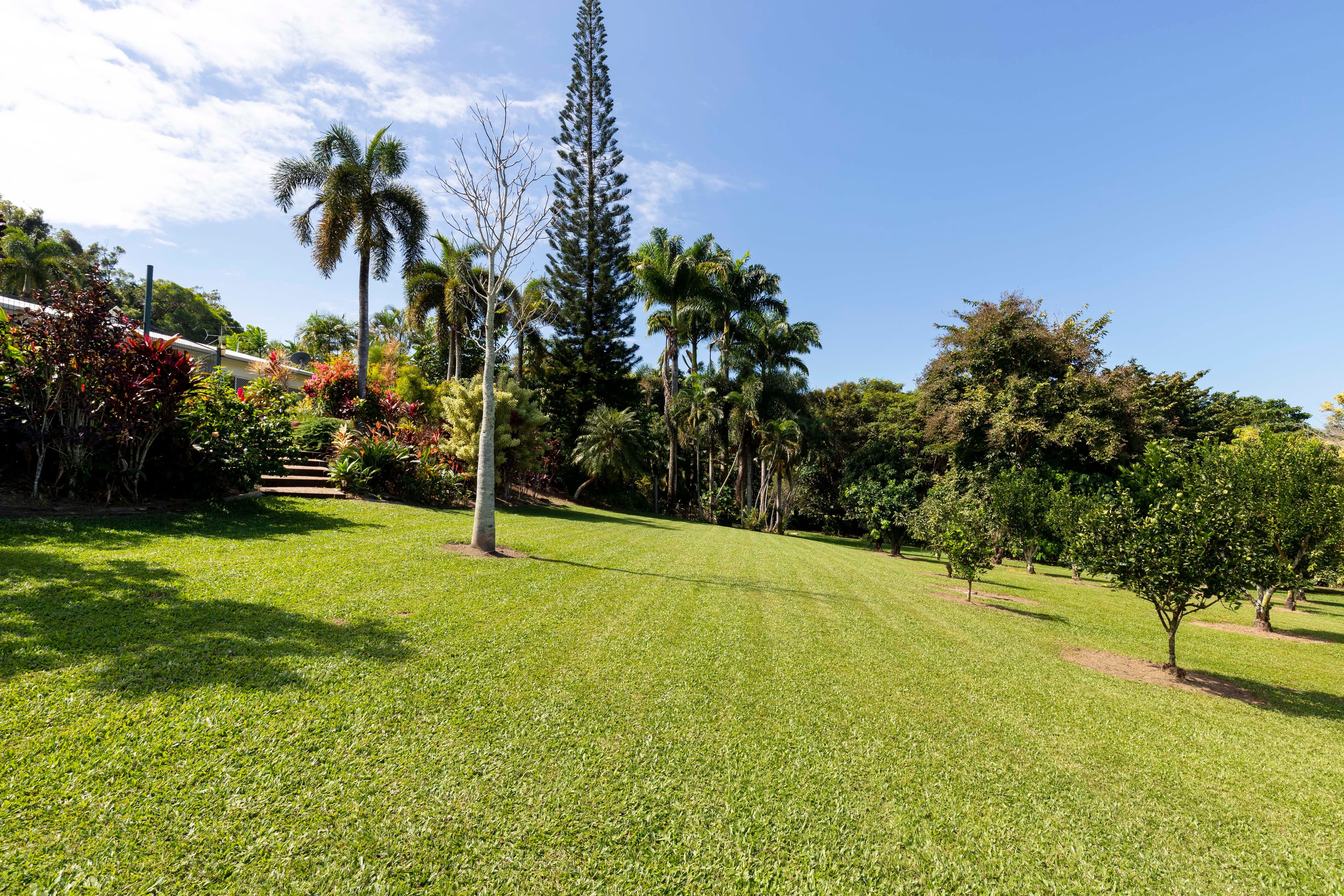 11 Orchid Avenue, Rocky Point QLD 4873, Rocky Point - Thumbnail 8