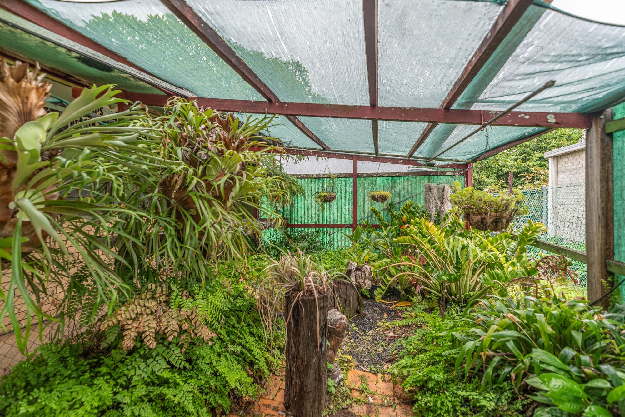 8 Buchanan Street, Beaudesert QLD 4285, Beaudesert - Thumbnail 7