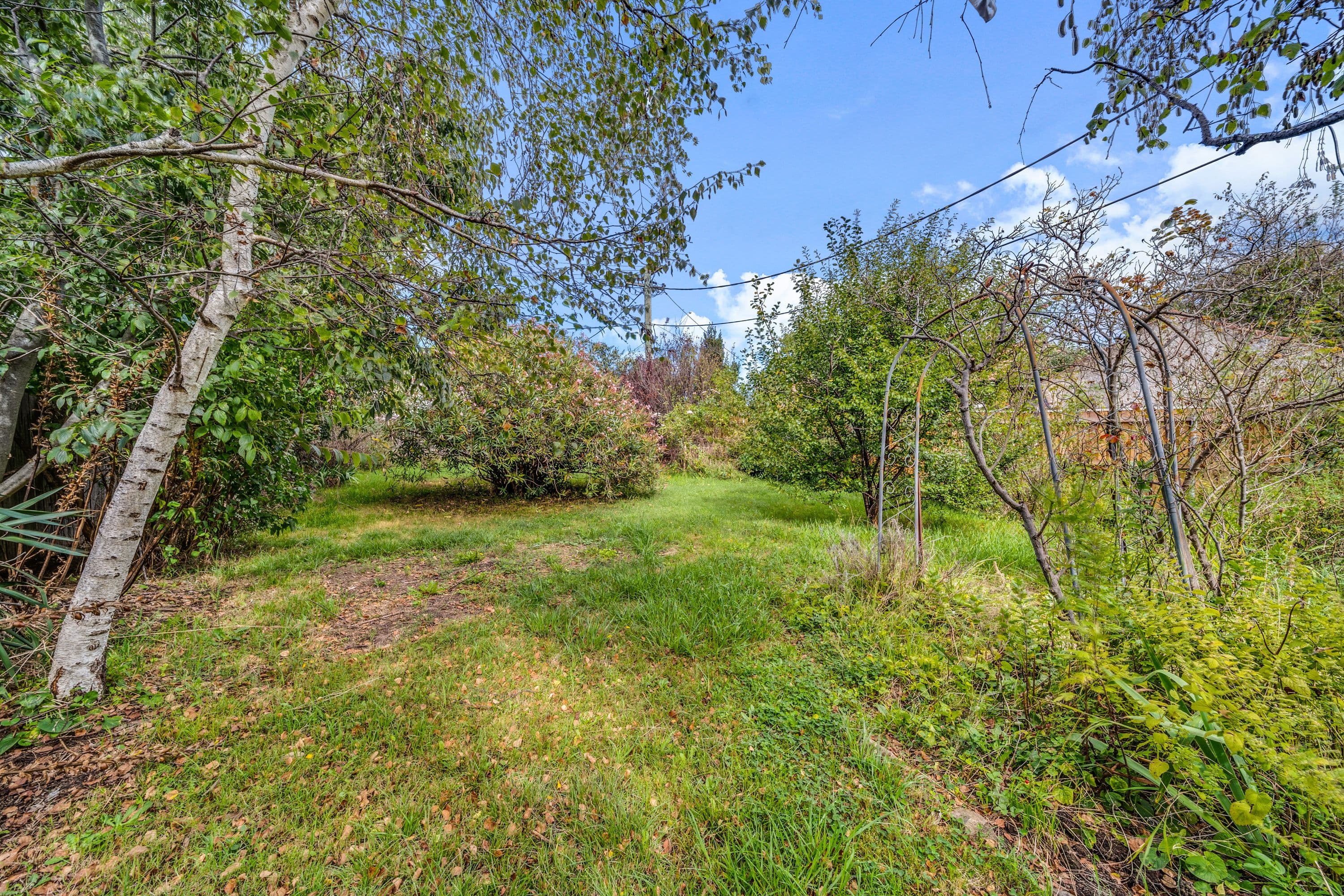 56 Kennedy Street, Kingston ACT 2604, Kingston - Thumbnail 8