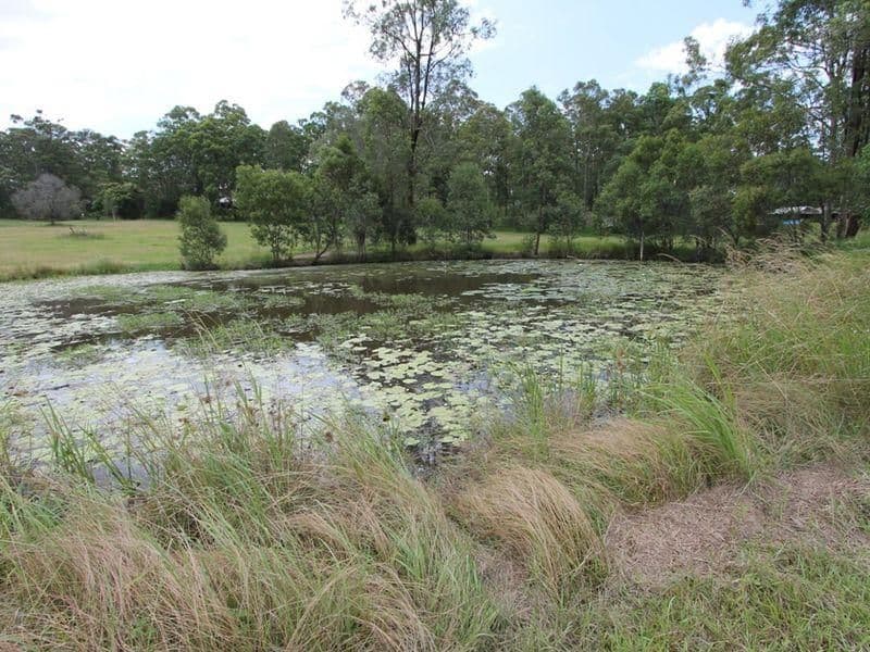 20 Sarow Drive, WARNER QLD 4500, Warner - Thumbnail 4
