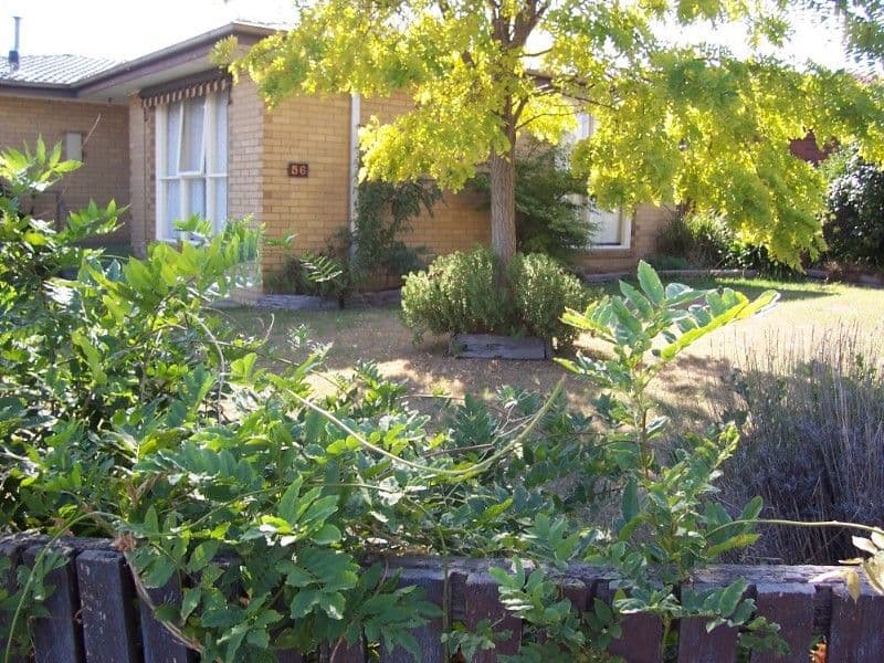 56 Davidson Street, TRARALGON VIC 3844, Traralgon - Thumbnail 4