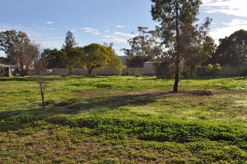 27 Oberon Street, EUGOWRA NSW 2806, Eugowra - Thumbnail 3