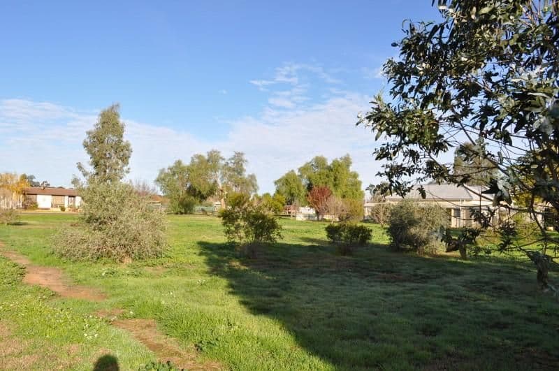 27 Oberon Street, EUGOWRA NSW 2806, Eugowra - Thumbnail 4