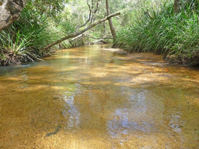 WONDECLA QLD 4887, Wondecla - Image 1