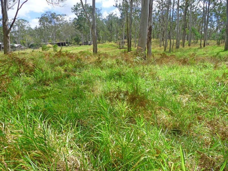 WONDECLA QLD 4887, Wondecla - Thumbnail 2