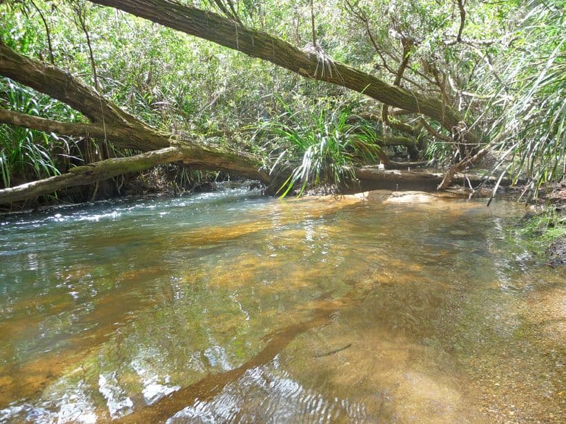WONDECLA QLD 4887, Wondecla - Thumbnail 3