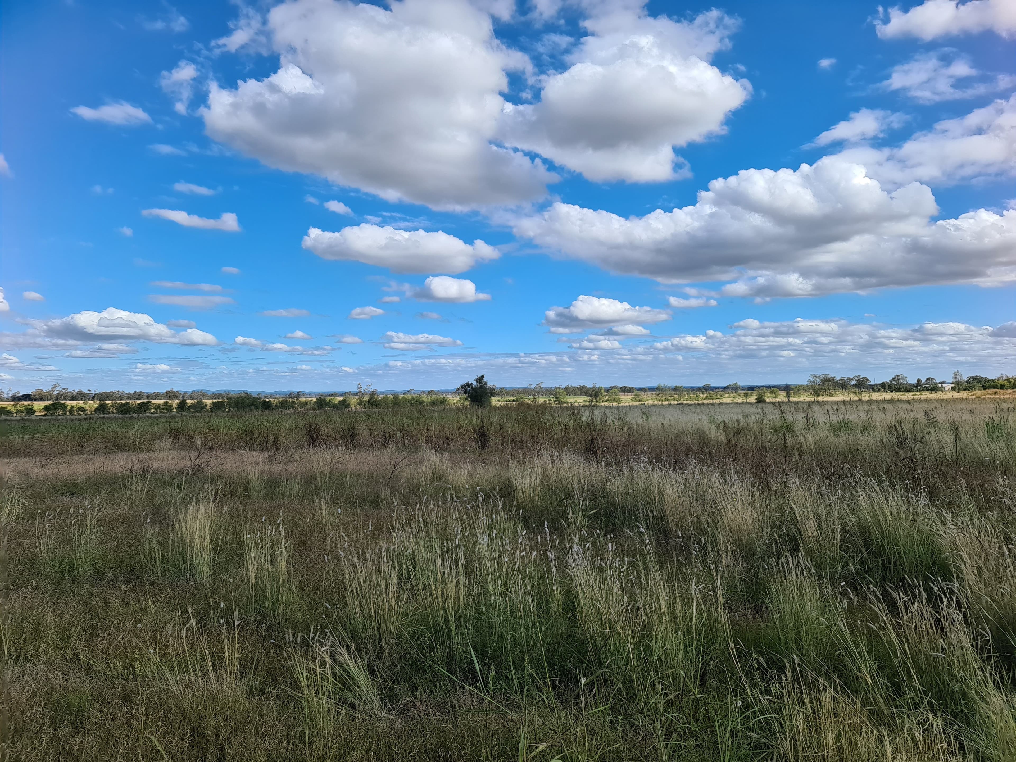 Scrubby Mountain QLD 4356, Scrubby Mountain - Thumbnail 6