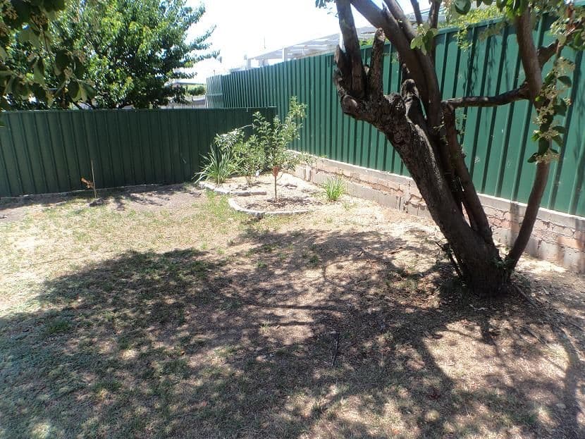 29 Park Street, Goulburn NSW 2580, Goulburn - Thumbnail 8