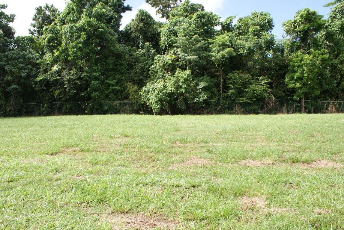 Lot 46 Sandpiper Close, MISSION BEACH QLD 4852, Mission Beach - Image 1