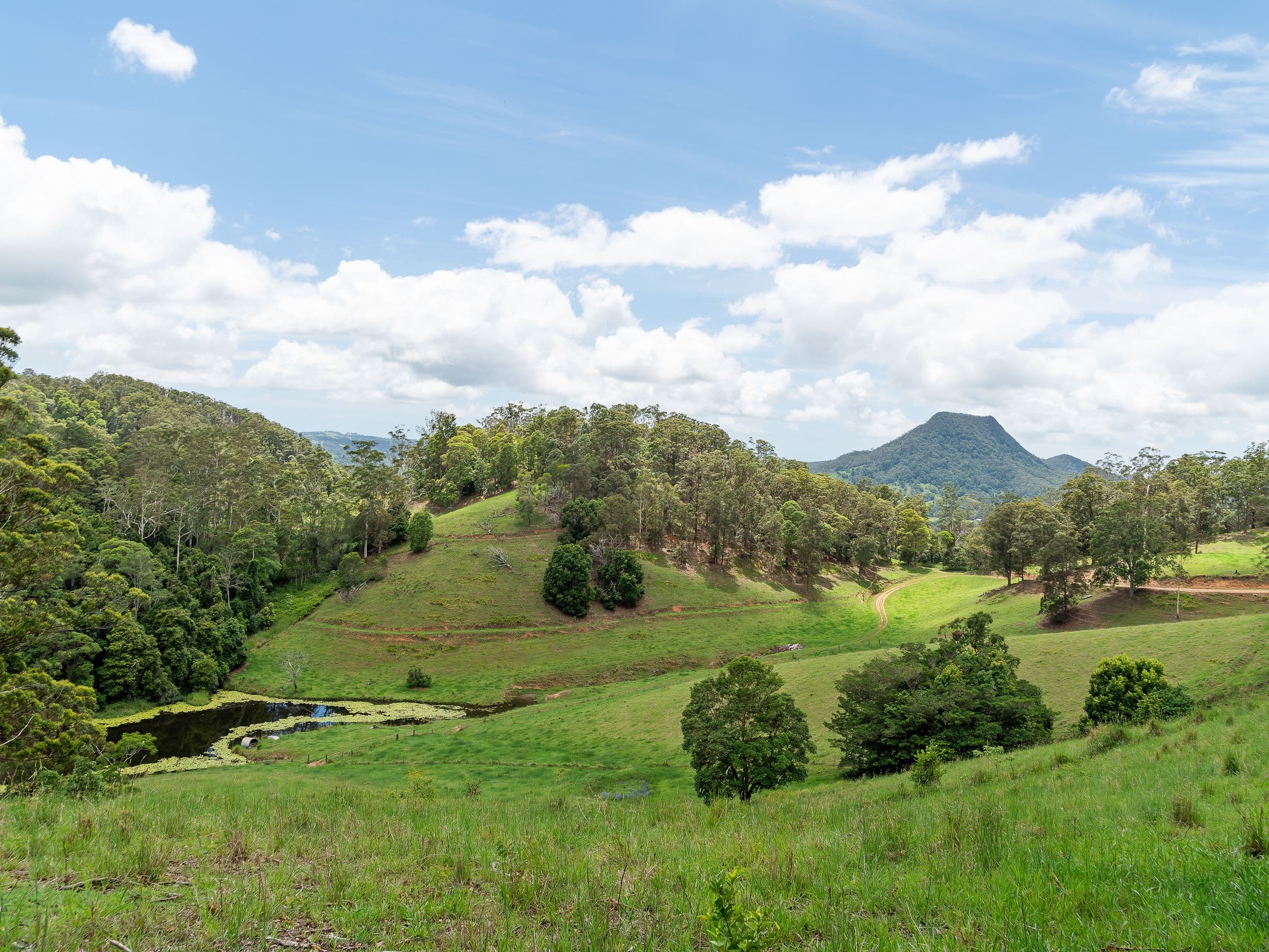 27 Ceylon Road, Belli Park QLD 4562, Belli Park - Thumbnail 4
