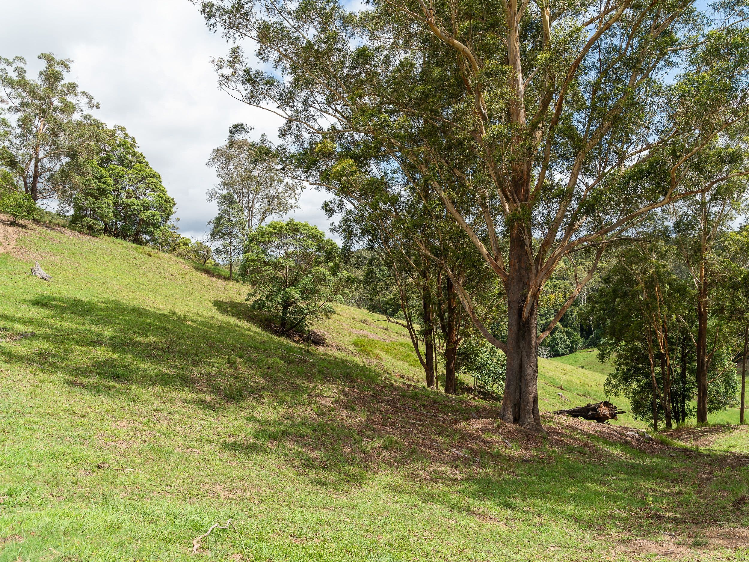 27 Ceylon Road, Belli Park QLD 4562, Belli Park - Thumbnail 5
