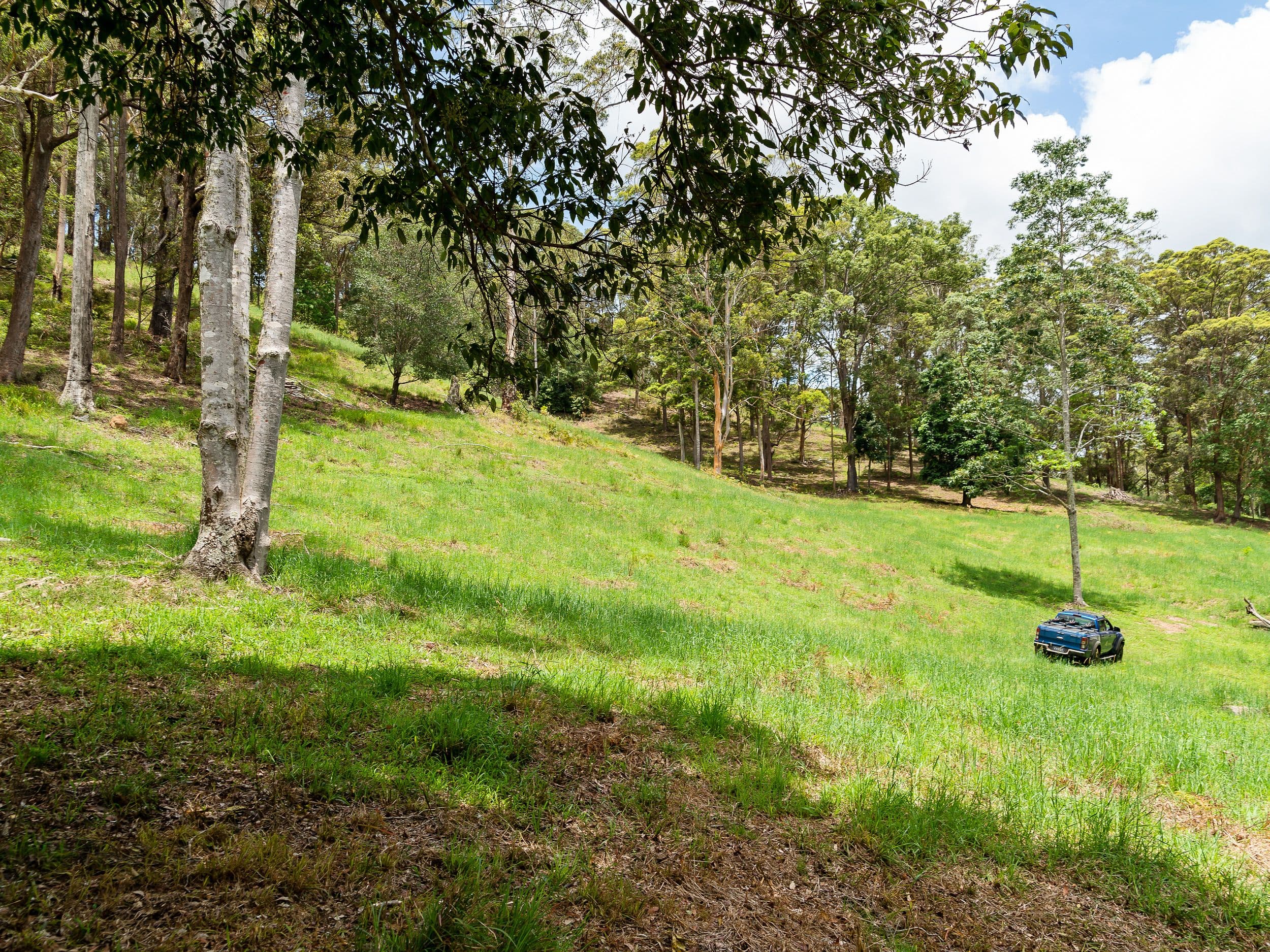 27 Ceylon Road, Belli Park QLD 4562, Belli Park - Thumbnail 6
