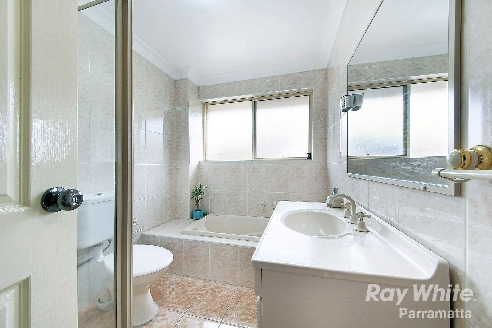 13 Park Avenue, Westmead NSW 2145, Westmead - Thumbnail 7