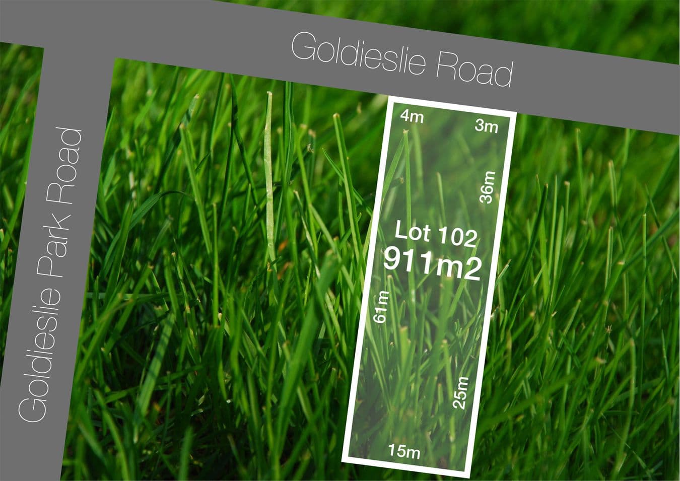 65 Goldieslie Road, INDOOROOPILLY QLD 4068, Indooroopilly - Thumbnail 6