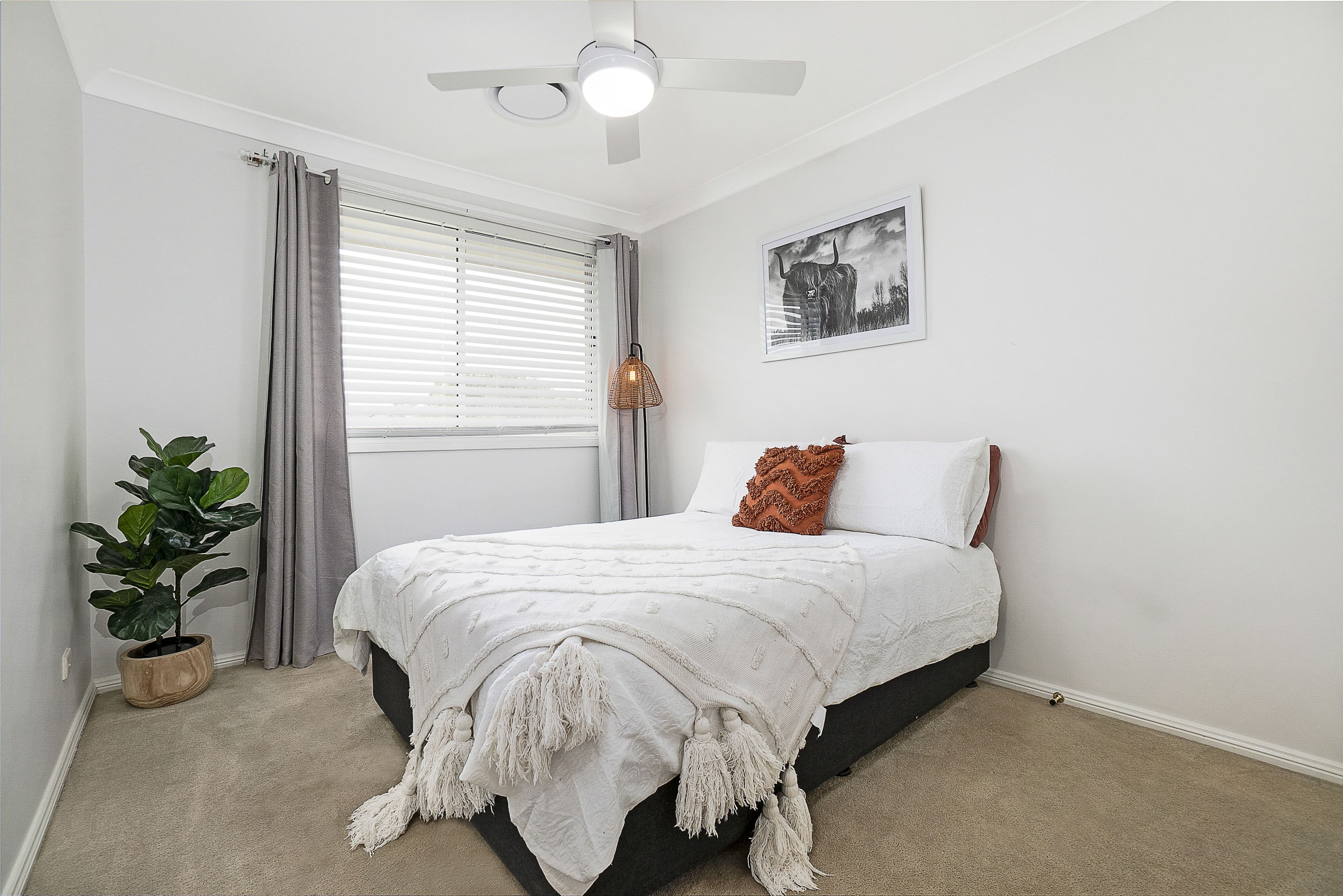 34 Balmain Road, McGraths Hill NSW 2756, McGraths Hill - Thumbnail 8