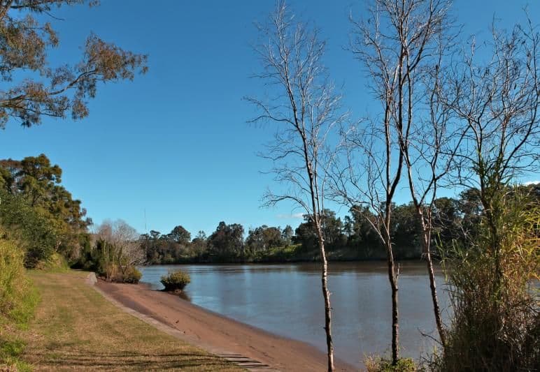59A Ormadale Road, Yeronga QLD 4104, Yeronga - Thumbnail 7