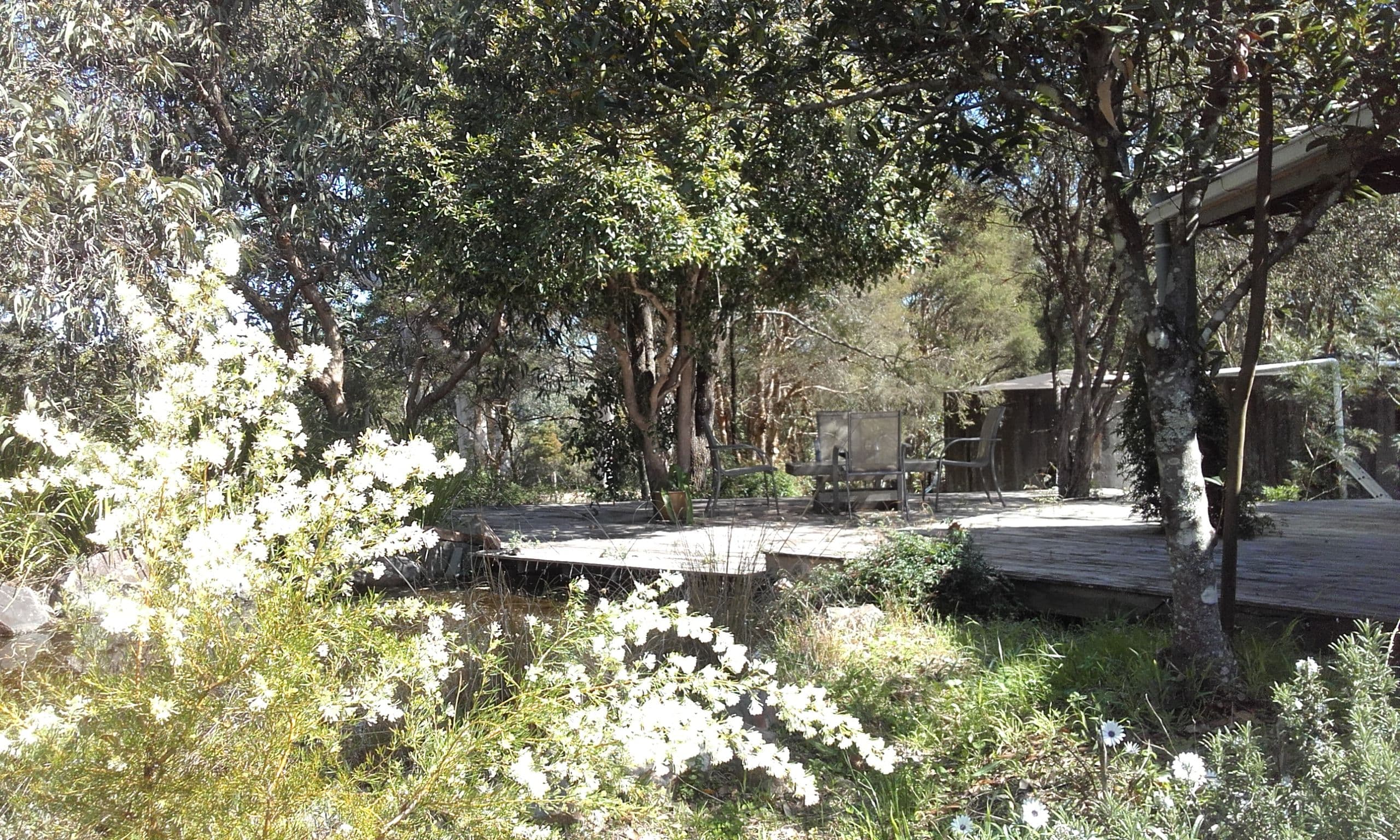 32 Fosterton Road, Dungog - Thumbnail 4