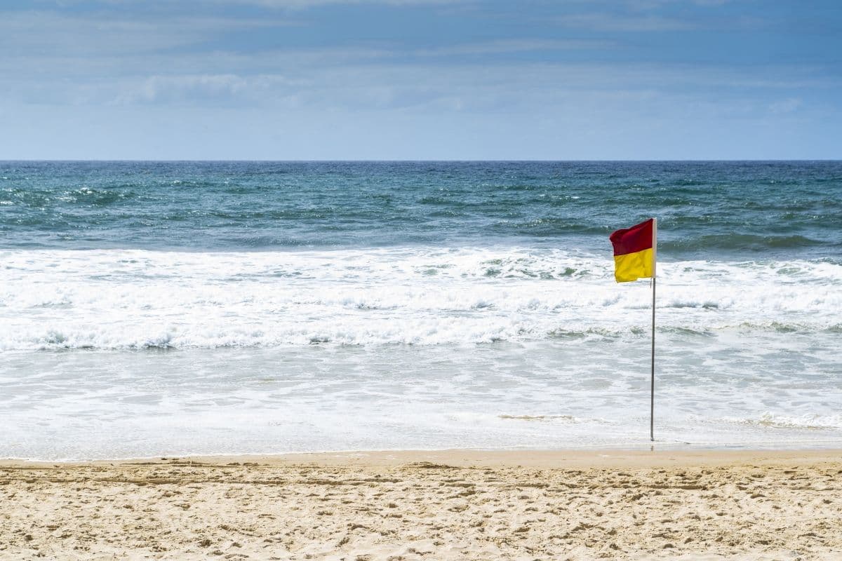 4 Rosewood Avenue, Broadbeach QLD 4218, Broadbeach - Thumbnail 6