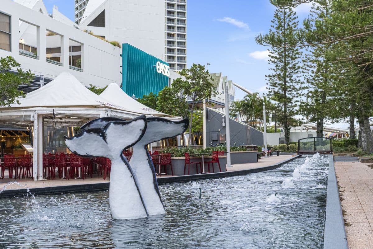 4 Rosewood Avenue, Broadbeach QLD 4218, Broadbeach - Thumbnail 8