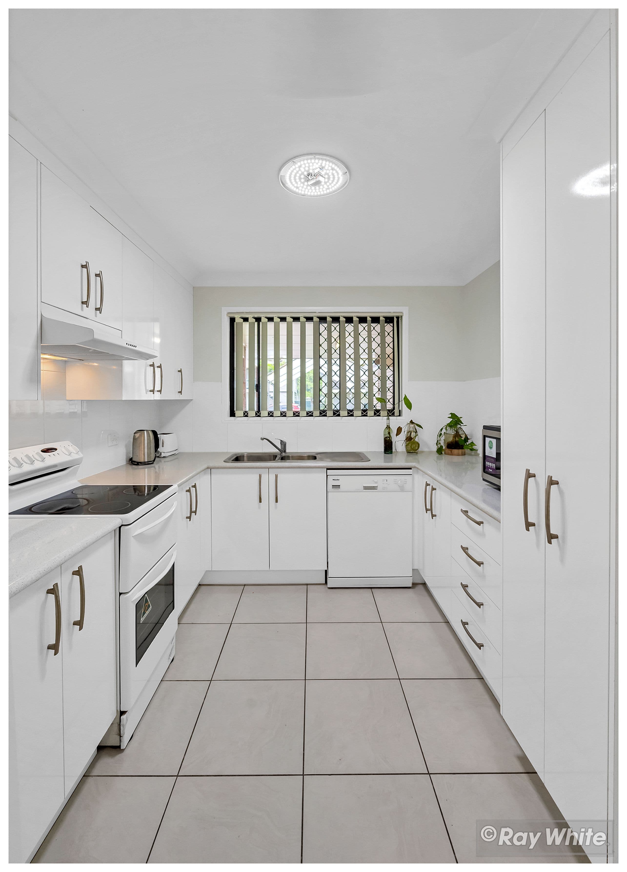 25 Rose Street, Koongal QLD 4701, Koongal - Thumbnail 3