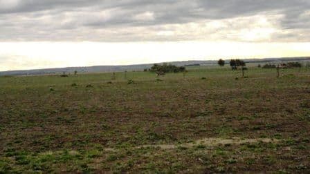 104 Shelford- Rokewood Road, SHELFORD VIC 3329, Shelford - Thumbnail 3