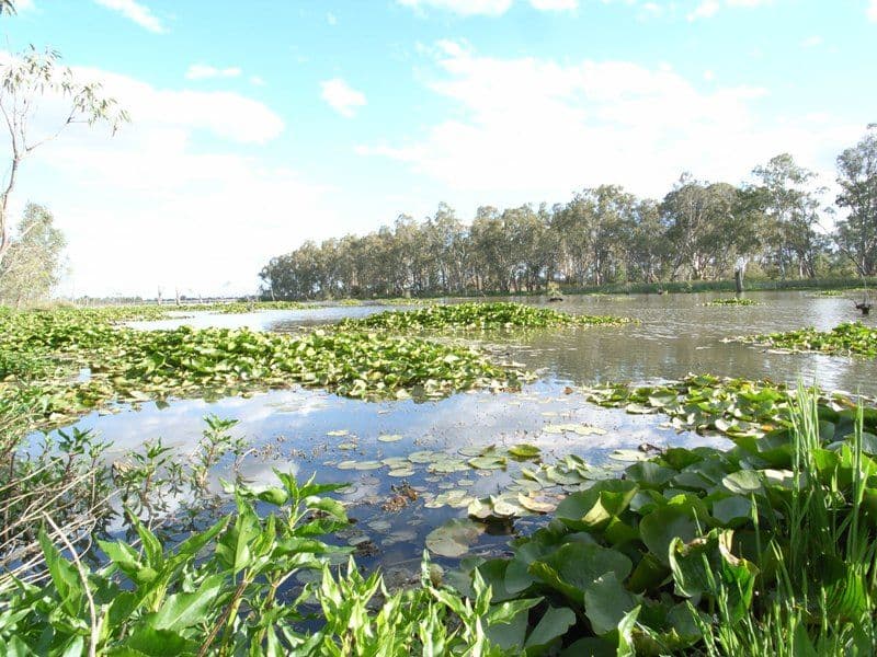 10 McLeod Street, NAGAMBIE VIC 3608, Nagambie - Thumbnail 7