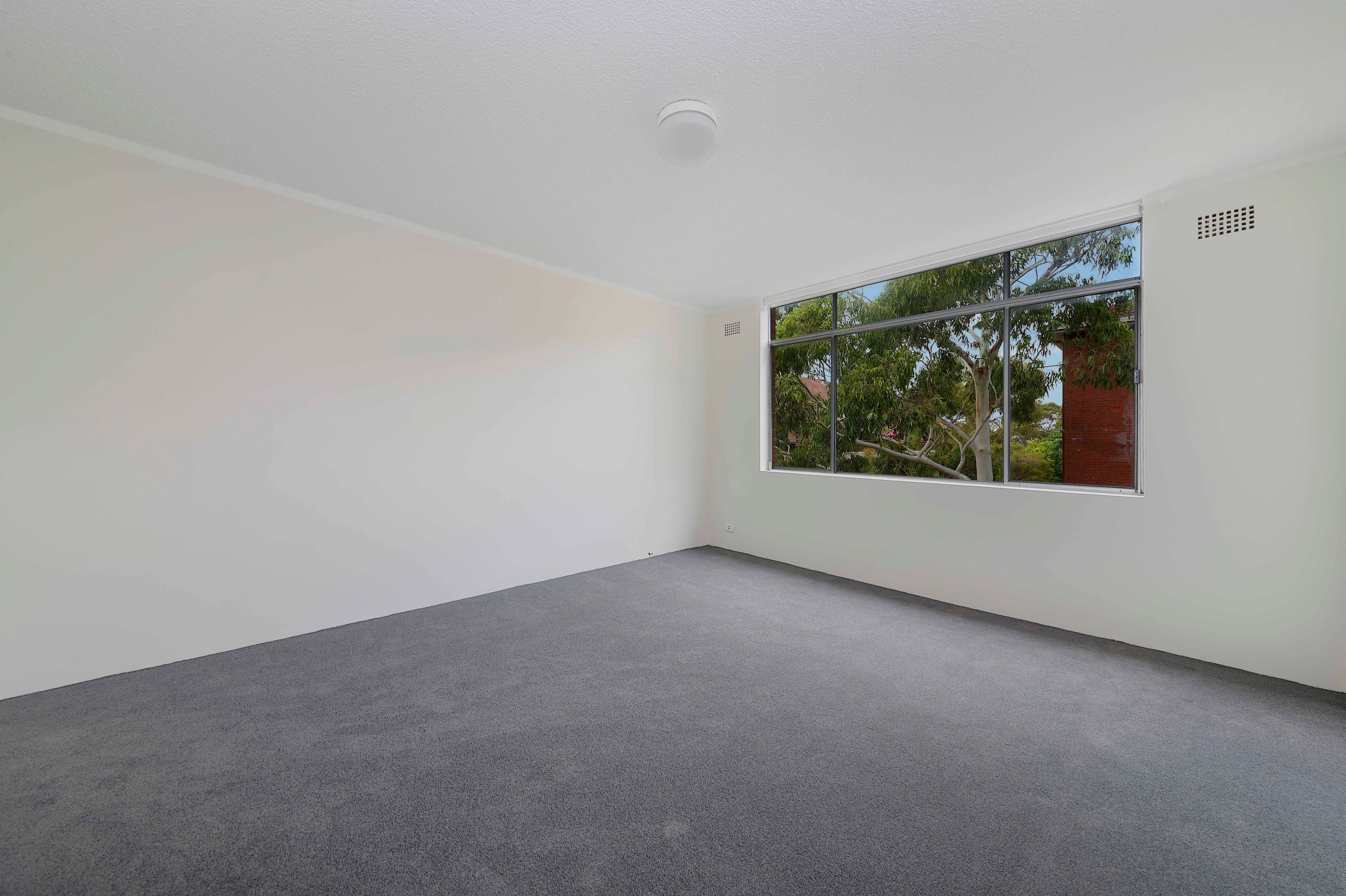 124 Carrington Road, Randwick NSW 2031, Randwick - Thumbnail 8