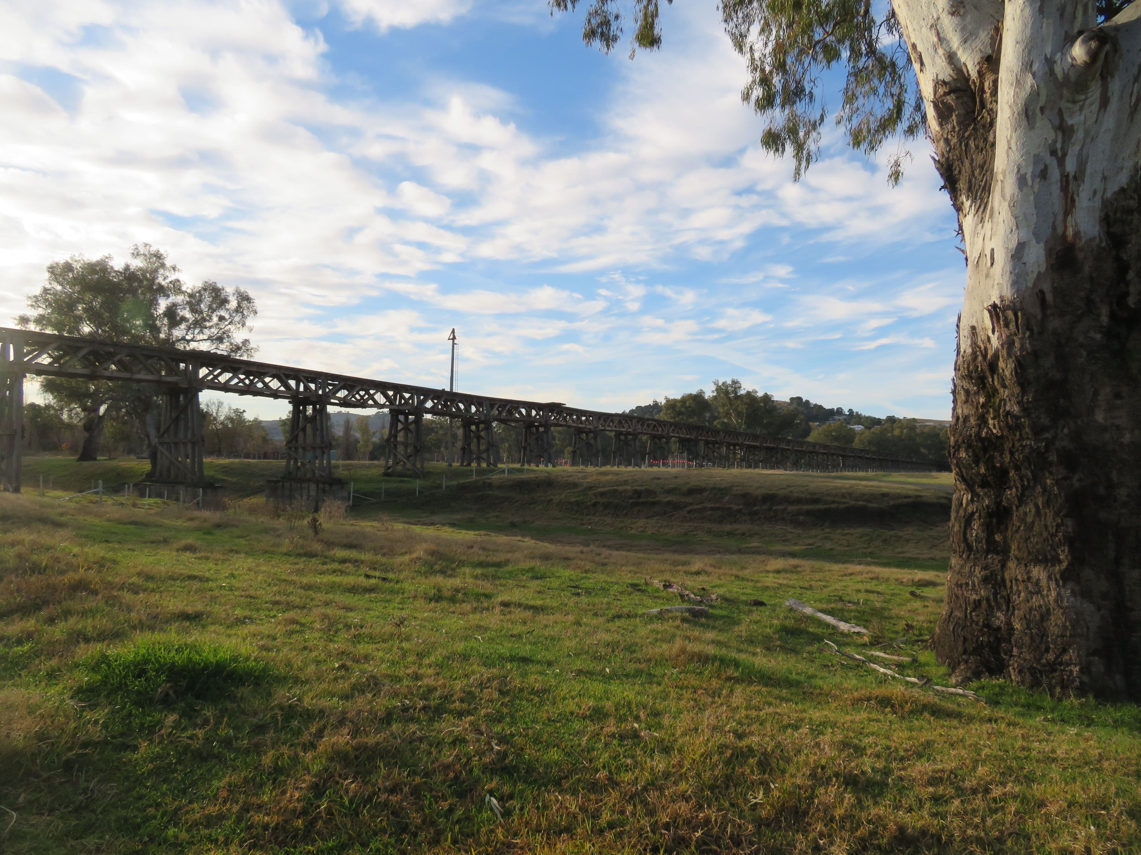 Lot 8 Landon Street, Gundagai NSW 2722, Gundagai - Image 1