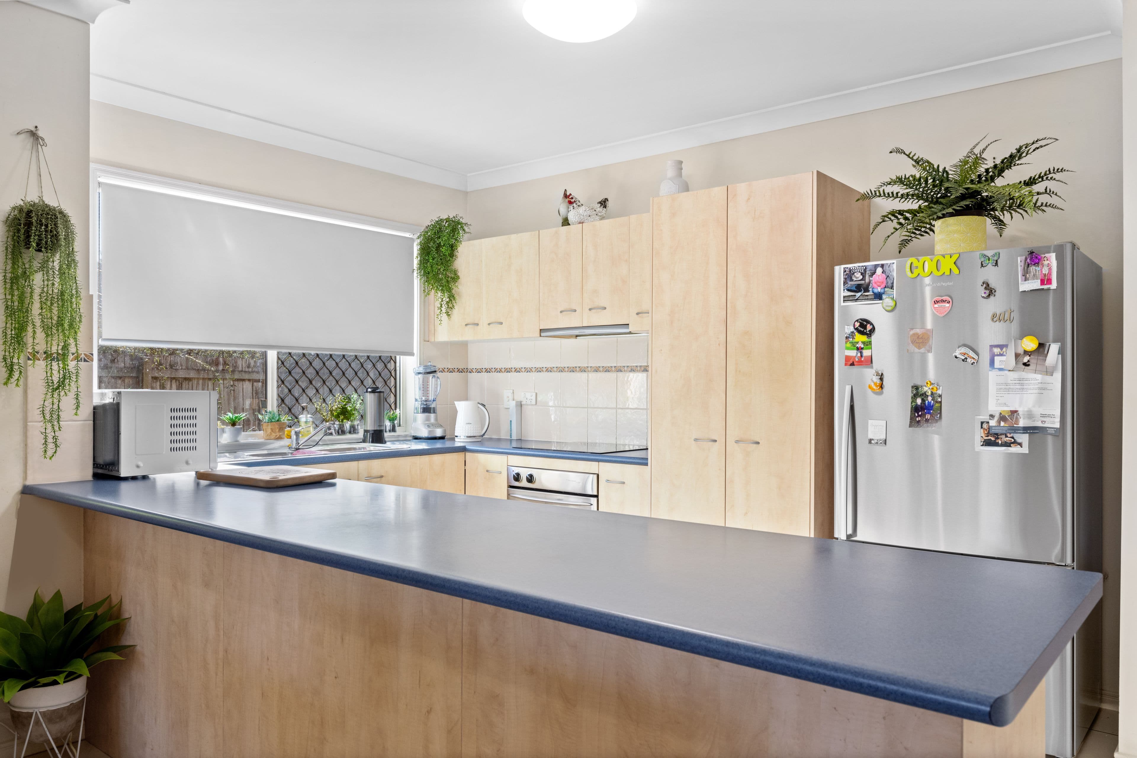 12 Trinity Crescent, Sippy Downs QLD 4556, Sippy Downs - Thumbnail 4