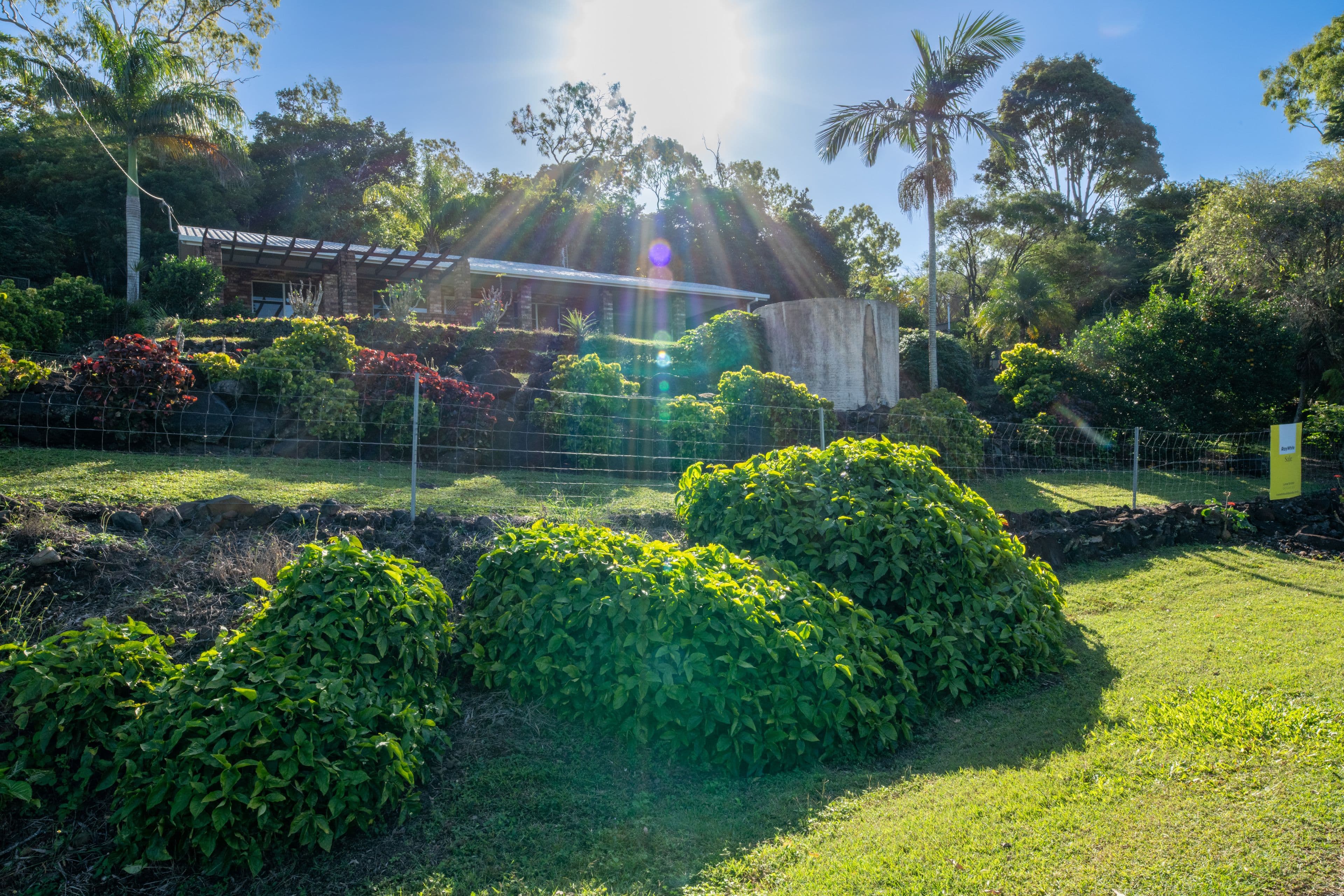 21 Pini Road, Strathdickie QLD 4800, Strathdickie - Thumbnail 4