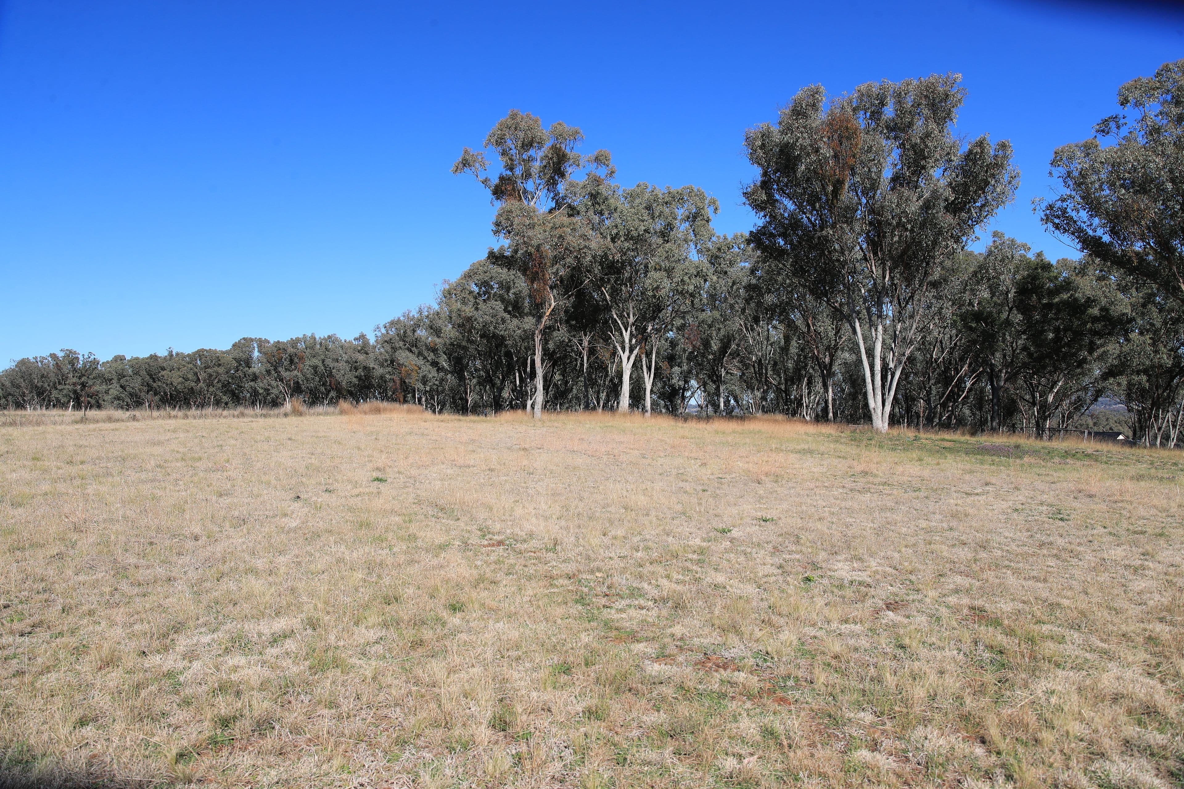 Lot 32 Sylvan Drive, Inverell NSW 2360, Inverell - Thumbnail 8