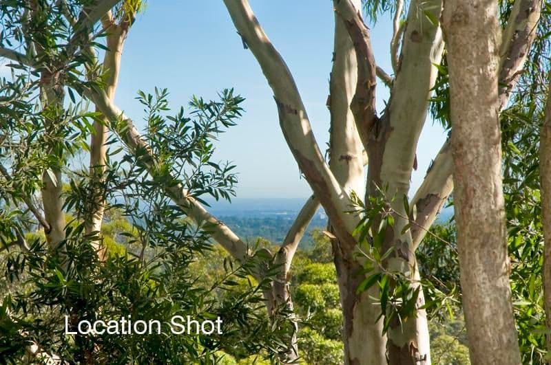 4 Browns Lane, Tiaro, QLD, 4650, Tiaro - Thumbnail 7
