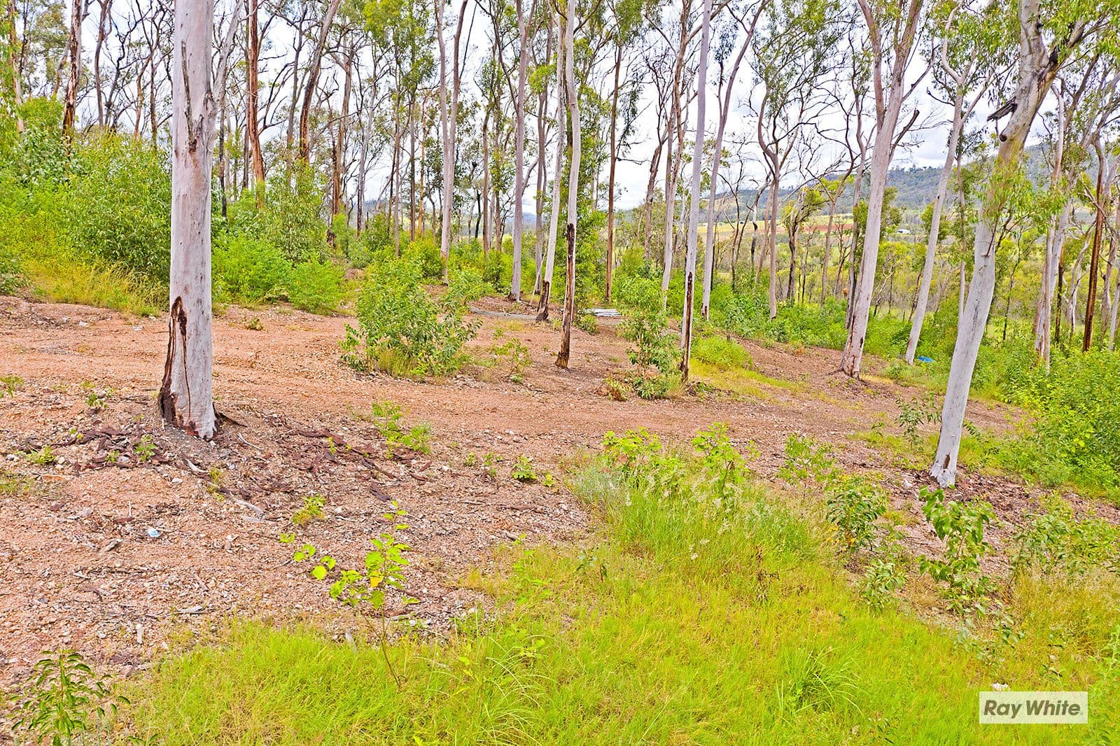 Lot 20 Woodbine Road, Bungundarra QLD 4703, Bungundarra - Thumbnail 3