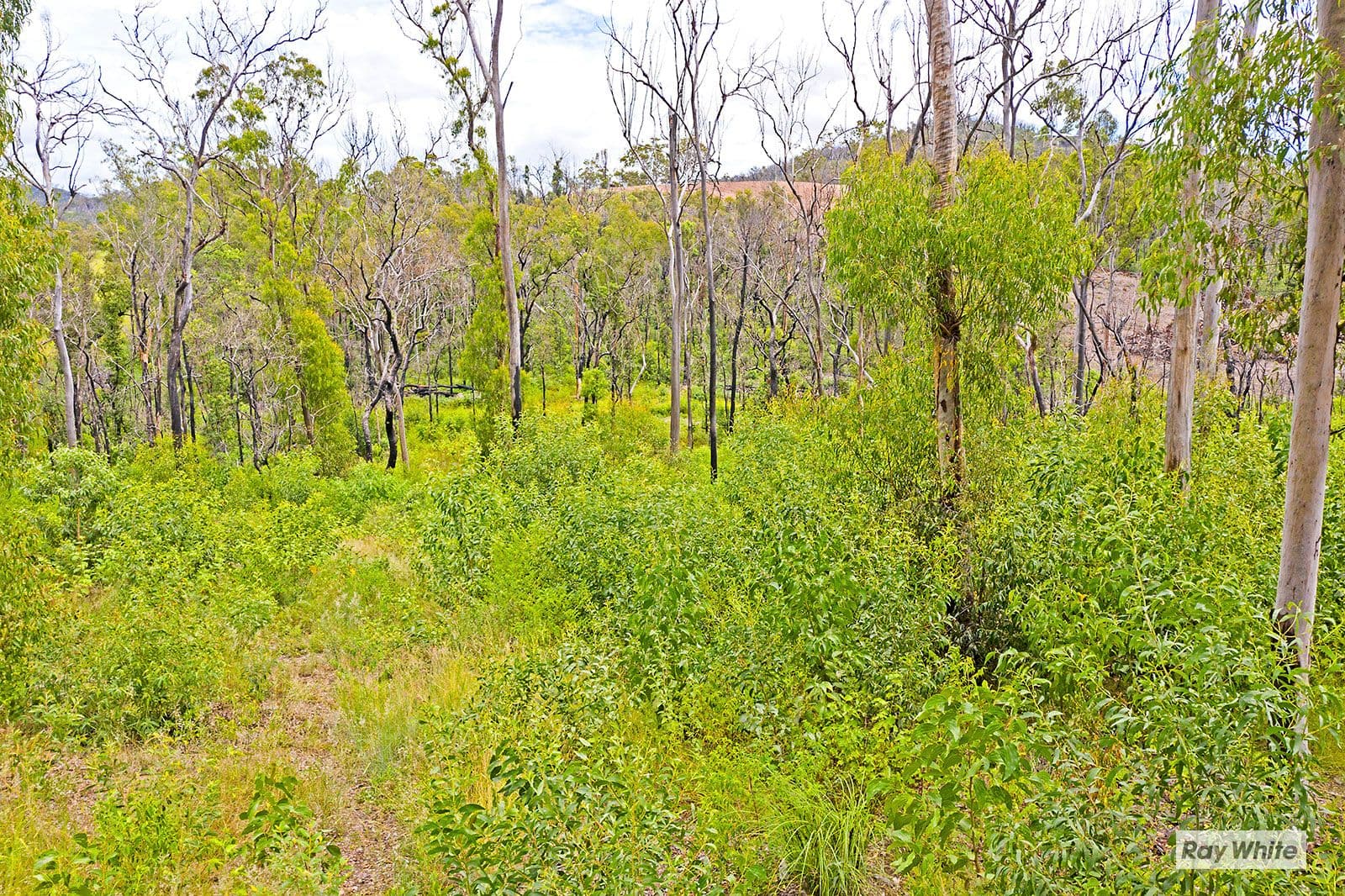 Lot 20 Woodbine Road, Bungundarra QLD 4703, Bungundarra - Thumbnail 4