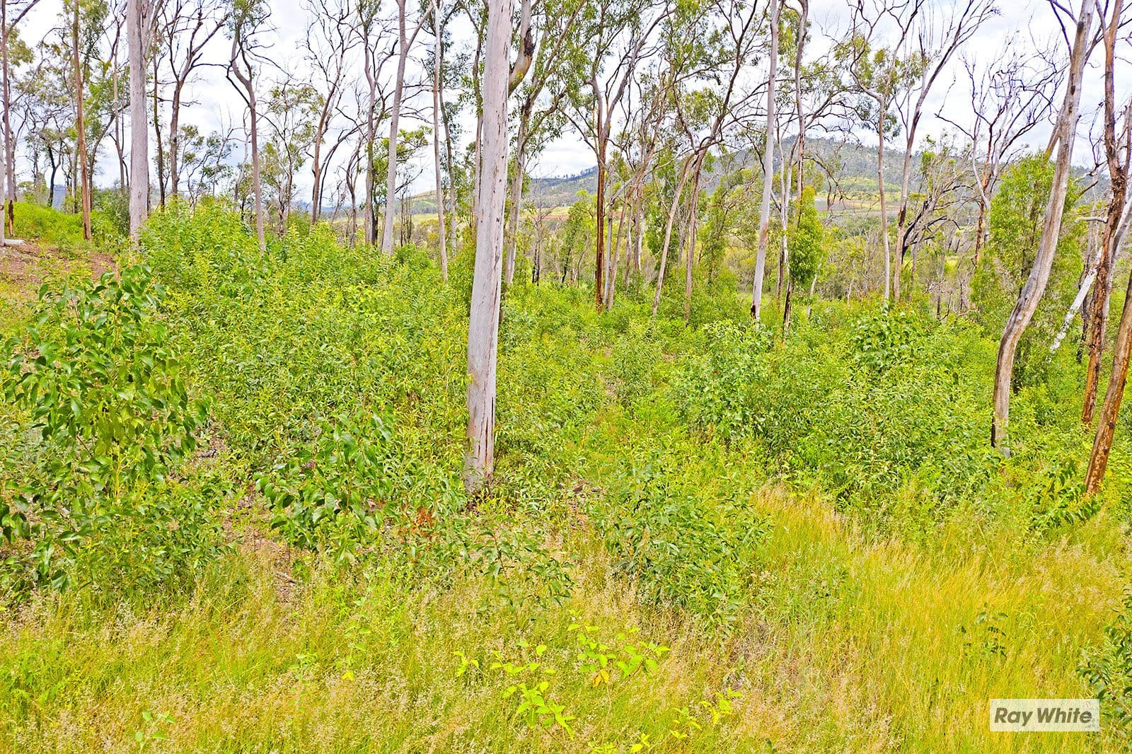 Lot 20 Woodbine Road, Bungundarra QLD 4703, Bungundarra - Thumbnail 5