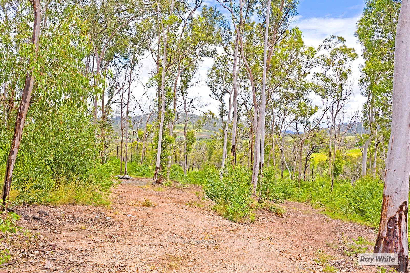 Lot 20 Woodbine Road, Bungundarra QLD 4703, Bungundarra - Thumbnail 6