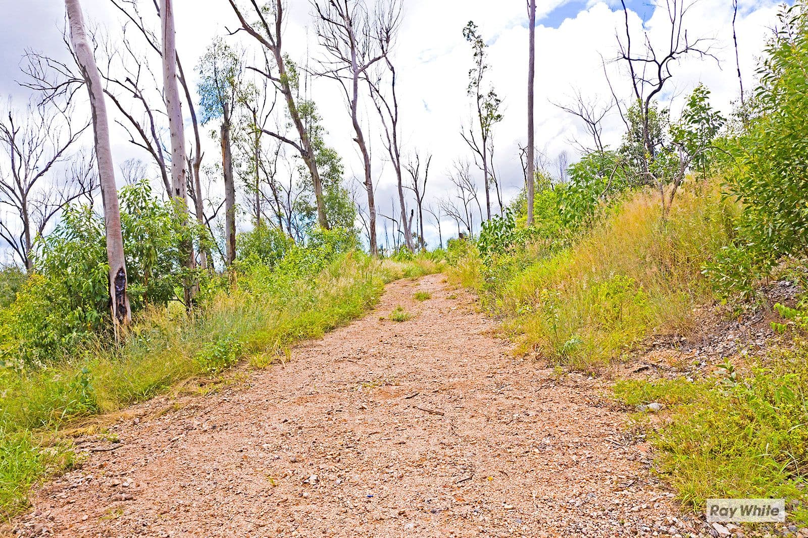 Lot 20 Woodbine Road, Bungundarra QLD 4703, Bungundarra - Thumbnail 7
