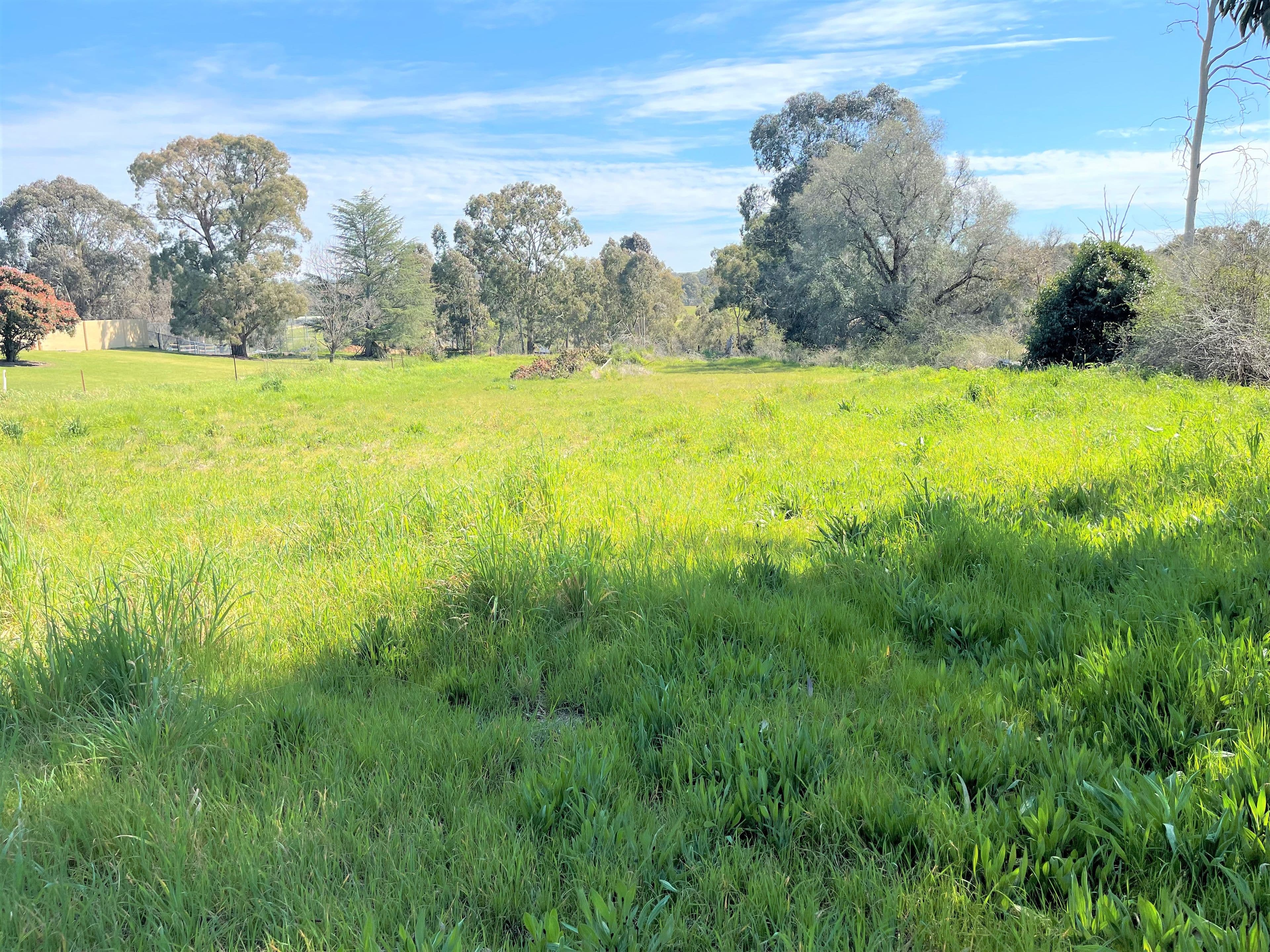 41 Templemore Street, Young NSW 2594, Young - Thumbnail 3