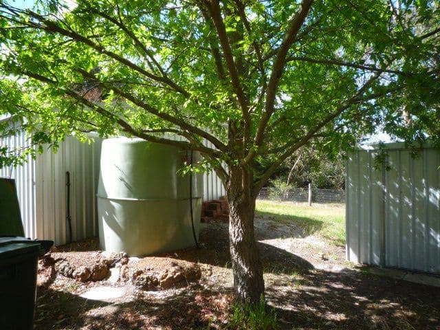 17 Martin Street, MOUNT BARKER WA 6324, Mount Barker - Thumbnail 5