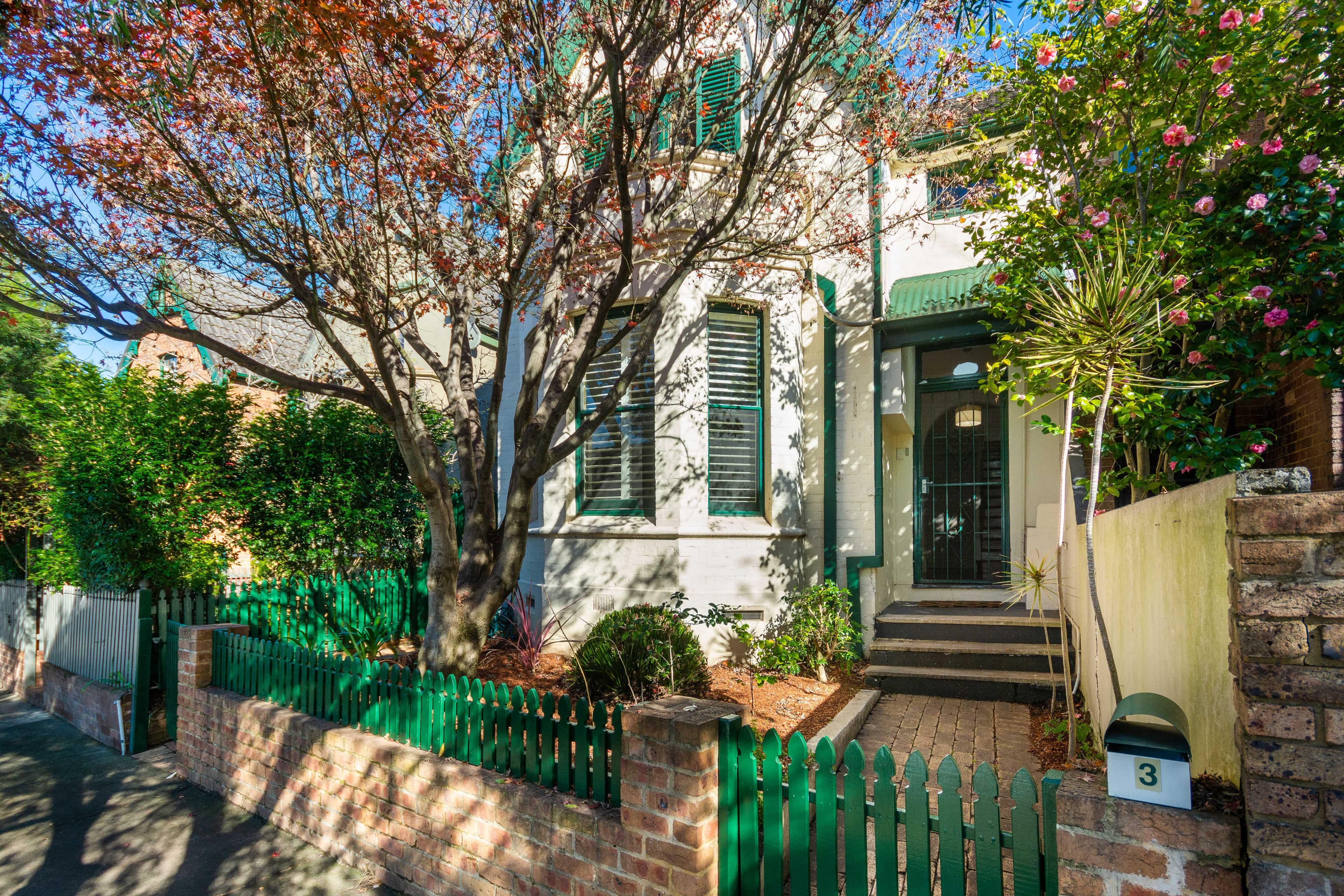 3 Abergeldie Street, Dulwich Hill - Image 1