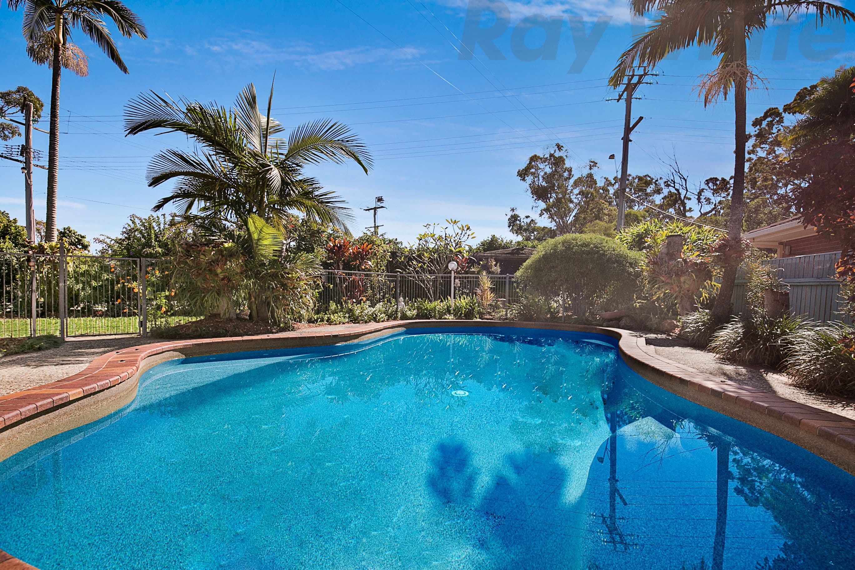 59 Bluebell Street, Alexandra Hills QLD 4161, Alexandra Hills - Thumbnail 2