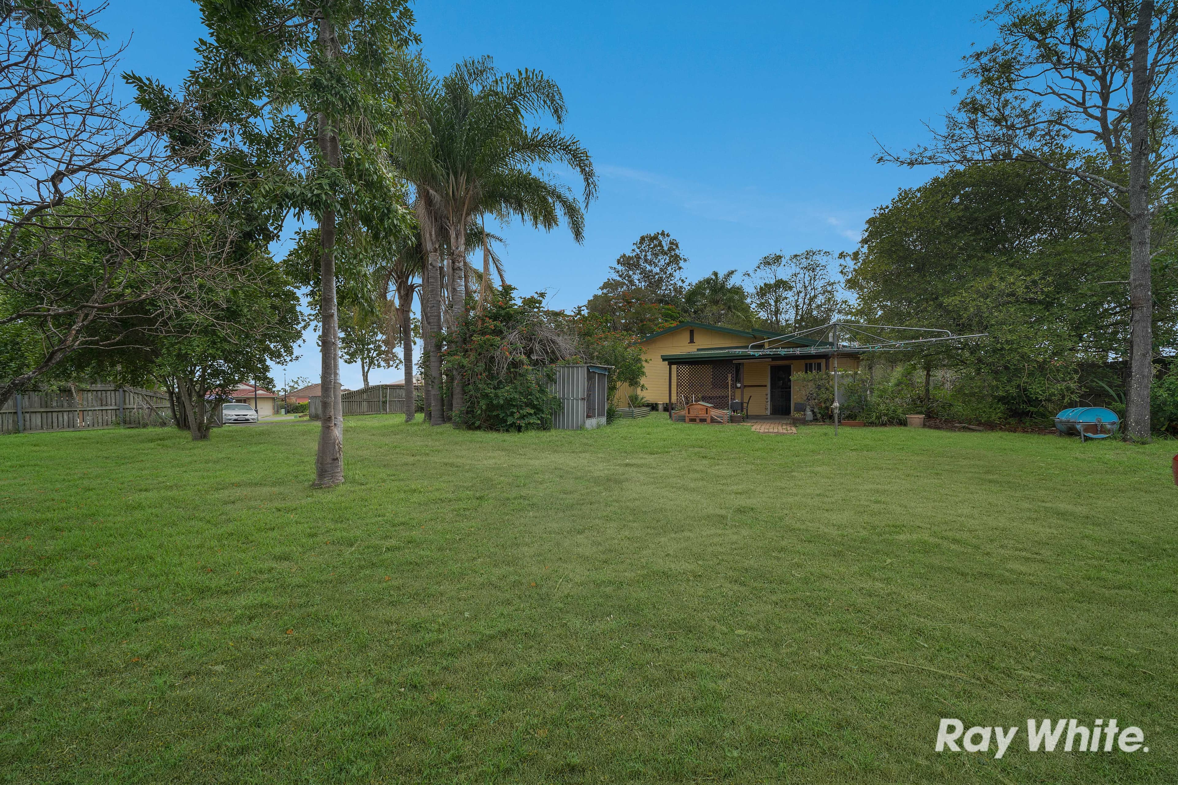 6 Starling Street, Loganlea QLD 4131, Loganlea - Thumbnail 4