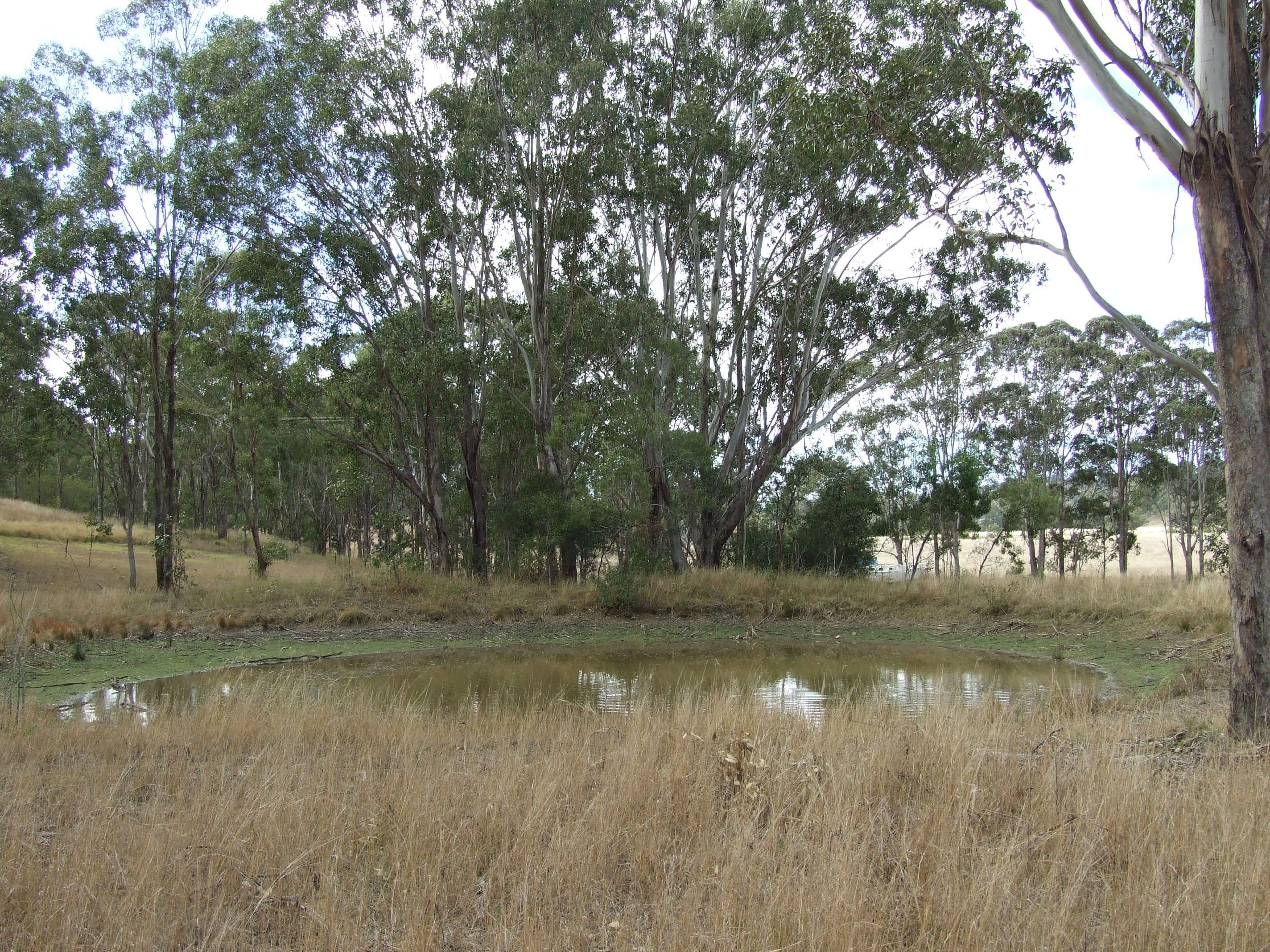L17 Cooyar-Kooralgin Road, Cooyar QLD 4402, Cooyar - Image 1