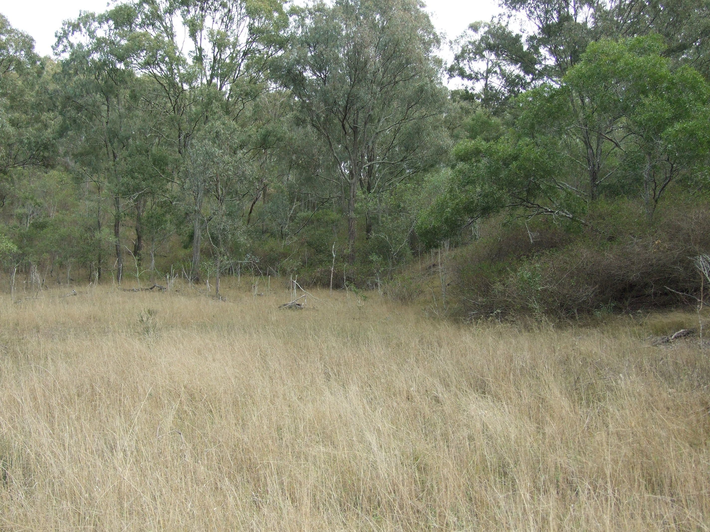L17 Cooyar-Kooralgin Road, Cooyar QLD 4402, Cooyar - Thumbnail 2