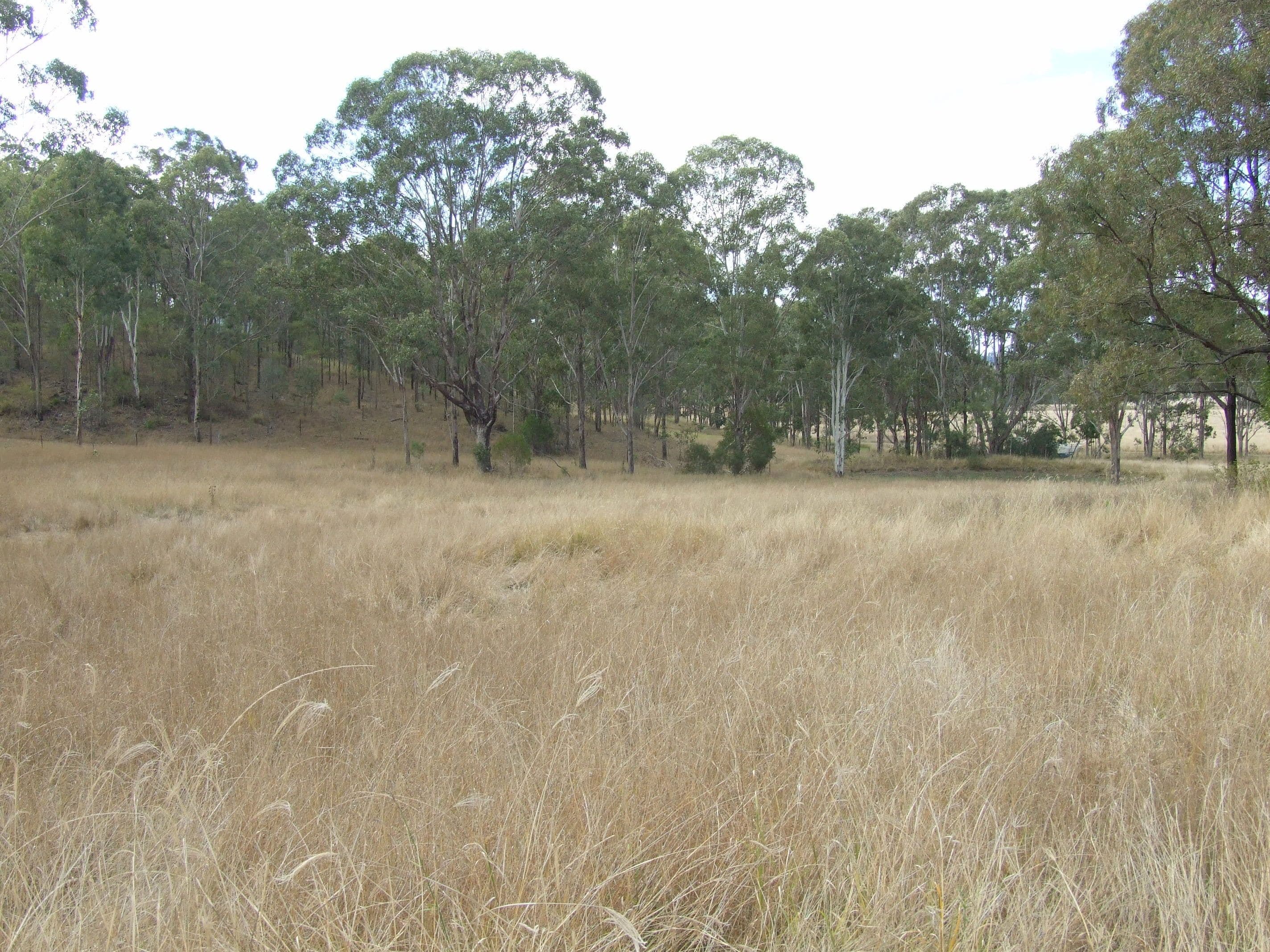 L17 Cooyar-Kooralgin Road, Cooyar QLD 4402, Cooyar - Thumbnail 3