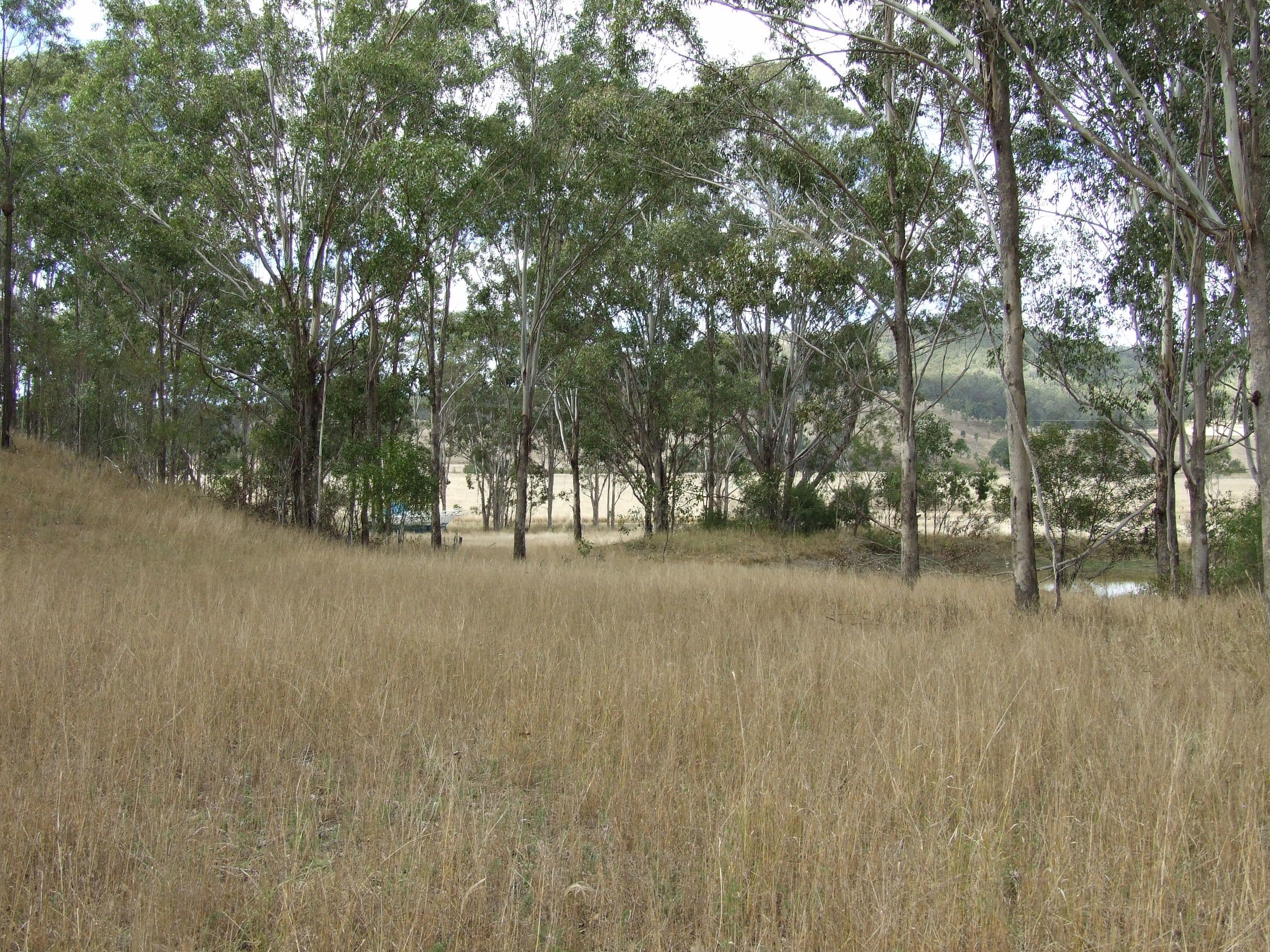 L17 Cooyar-Kooralgin Road, Cooyar QLD 4402, Cooyar - Thumbnail 4