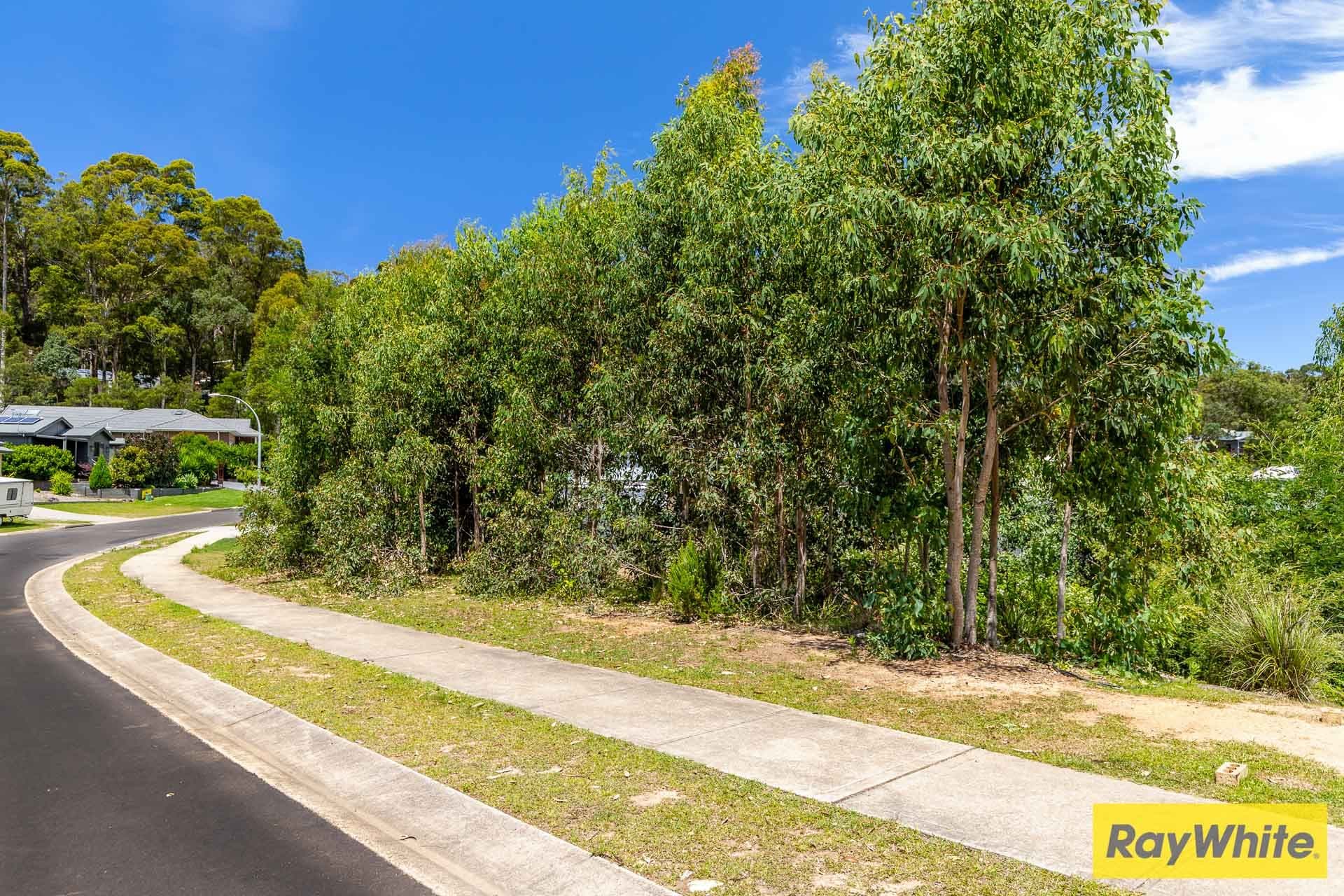 91 Litchfield Crescent, Long Beach NSW 2536, Long Beach - Thumbnail 5