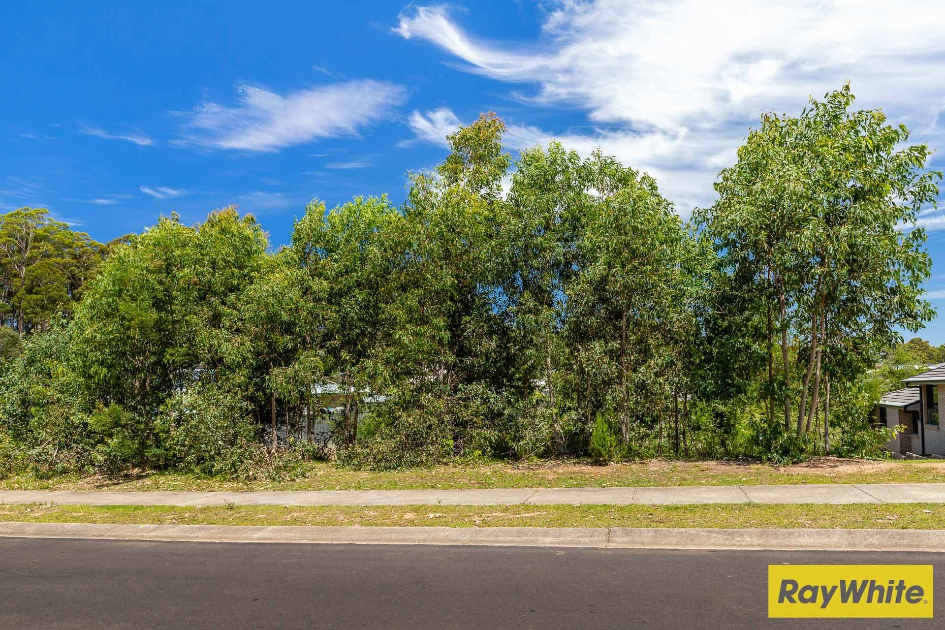 91 Litchfield Crescent, Long Beach NSW 2536, Long Beach - Thumbnail 6